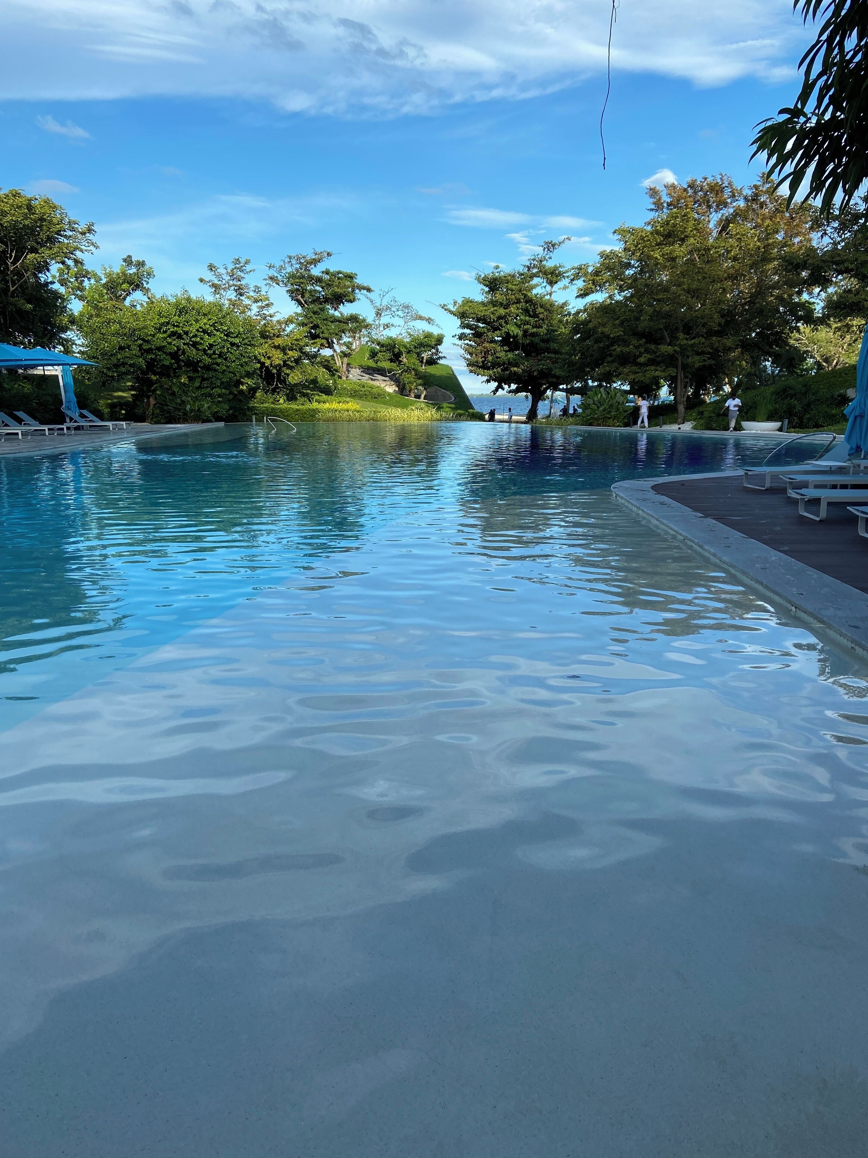 A large outdoor swimming pool with clear blue water, surrounded by lush greenery and trees.