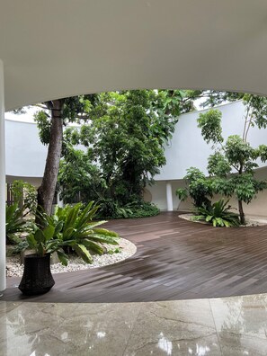 A spacious indoor garden with a wooden floor, surrounded by various plants and trees. - Cozy 1-bedroom condo in fantastic Tambuli seaside living in Lapu-Lapu w Netflix (Lapu-Lapu)