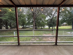 Property grounds - Charming Red Cottage Escape in Clifton, Tx near the boarder of Lake Whitney. (Clifton)