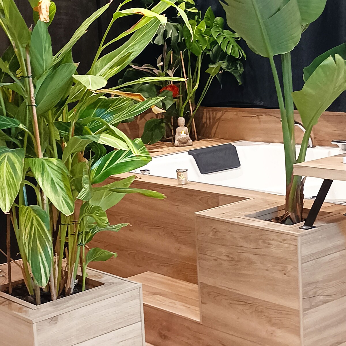 オーナーのプロフィール画像