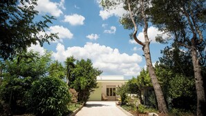 A house with a paved driveway leading to a front door, surrounded by trees and greenery. - VILLIN0 DEI PINI - Relaxation in Salento (Puglia)
