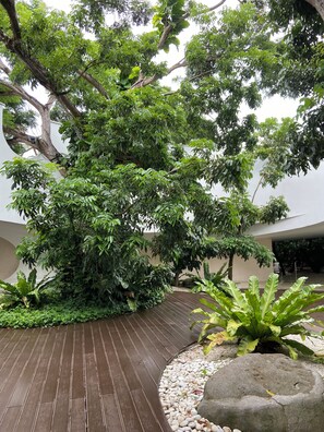 Àrea exterior de l'allotjament