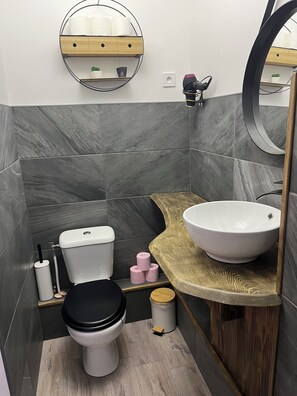 Hair dryer, towels, soap, toilet paper - Bed & Breakfast (Saint-Claude)