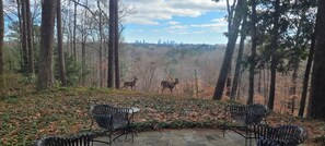 Property grounds - Best view of Atlanta on Wooded Ridge (Atlanta)