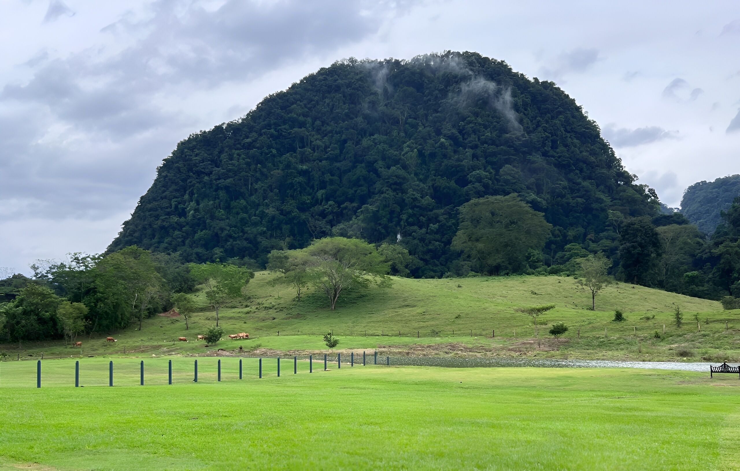 A grassy field with a fence, a hill with trees, and a mountain in the background.