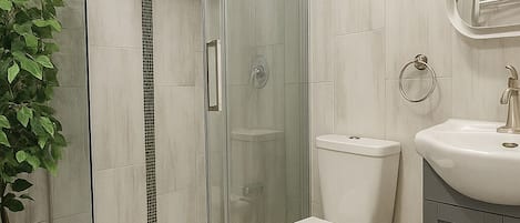 Regadera, secadora de cabello, bidet, toallas