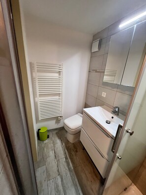 Regadera, secadora de cabello, papel de baño 