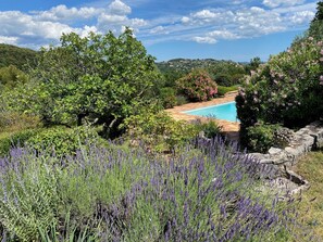 المنطقة المحيطة بالمنشأة