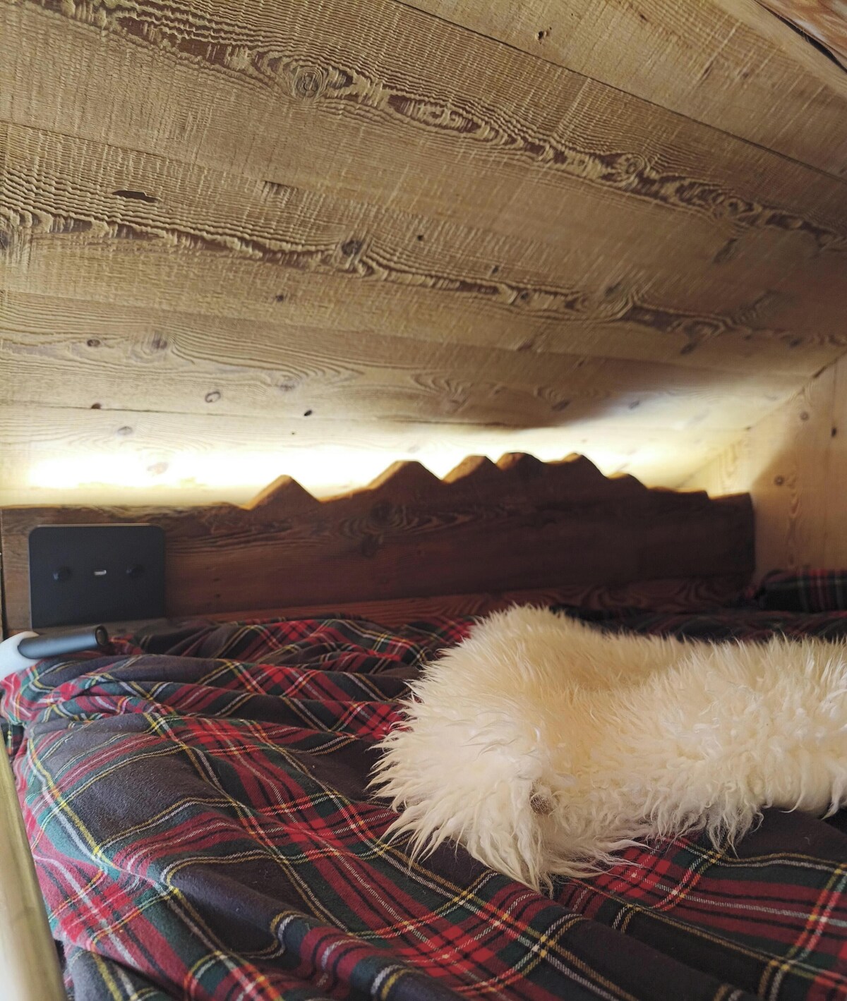 オーナーのプロフィール画像