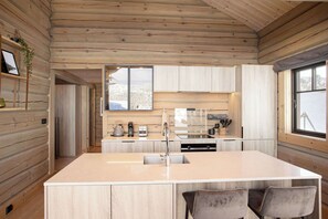 Fridge, oven, stovetop, dishwasher
