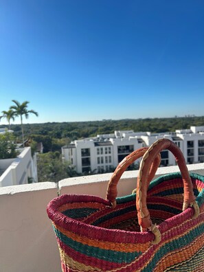 View from property - Sun-filled 1-bedroom apartment, huge terrace in the heart of Coral Gables (Coral Gables)
