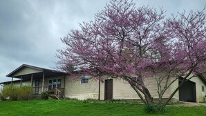Eenlaags huis met een veranda en een boom met roze bloesems.