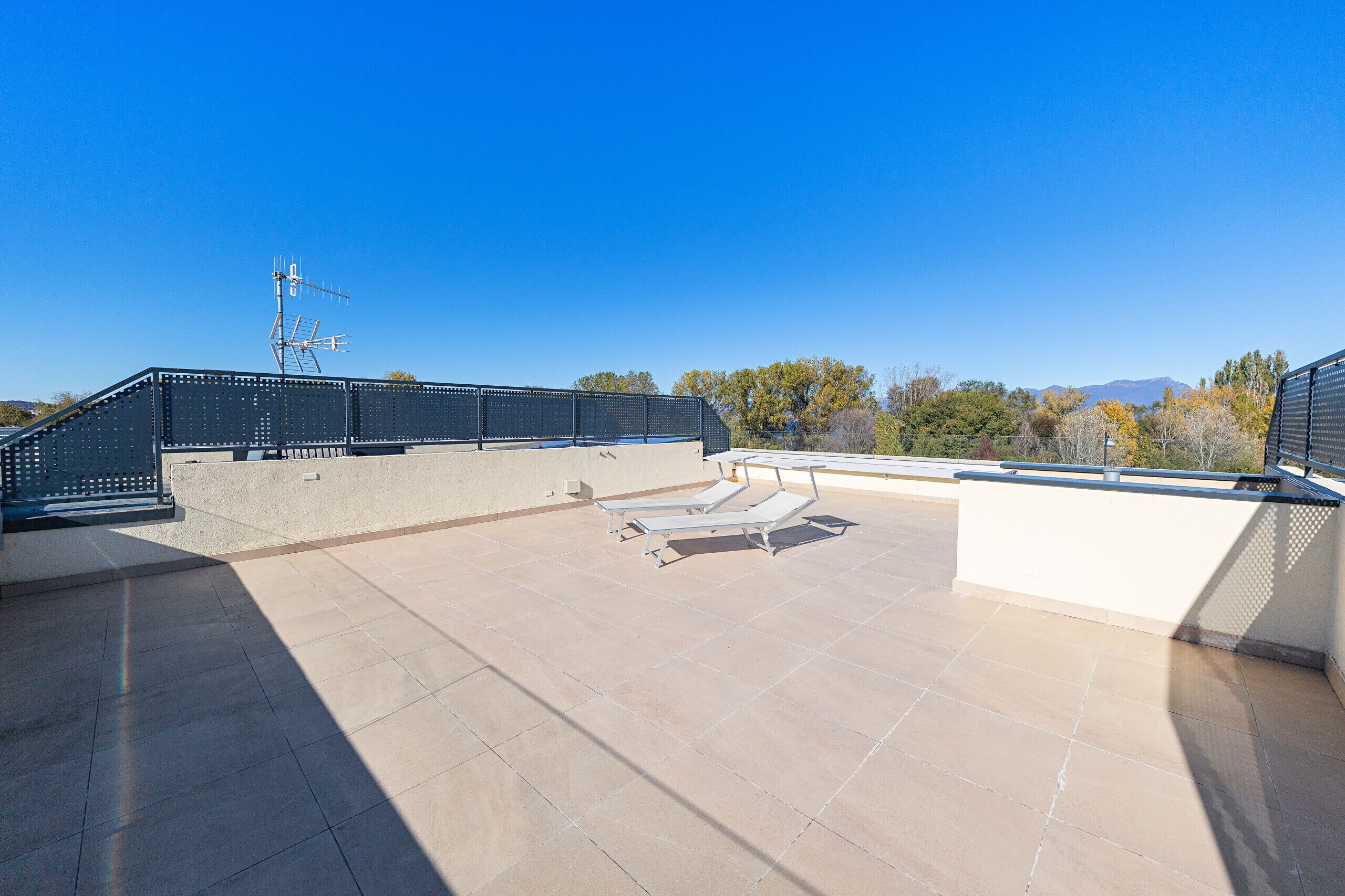 テラス / パティオ