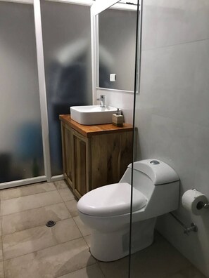 Regadera, secadora de cabello, toallas, jabón 