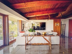 Smart TV, fireplace, books, music library