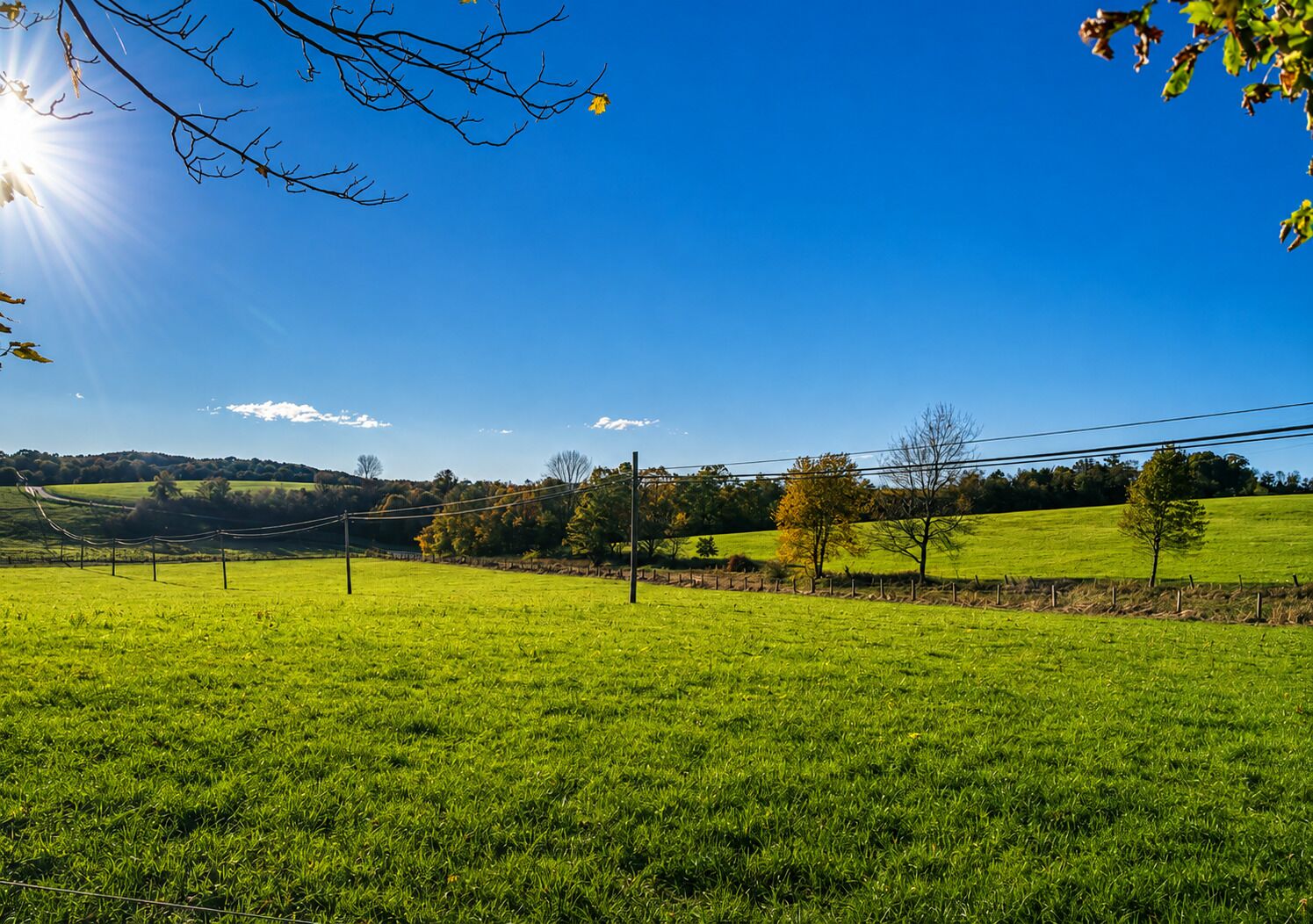 A rural landscape with a clear sky, green fields, and a fence.