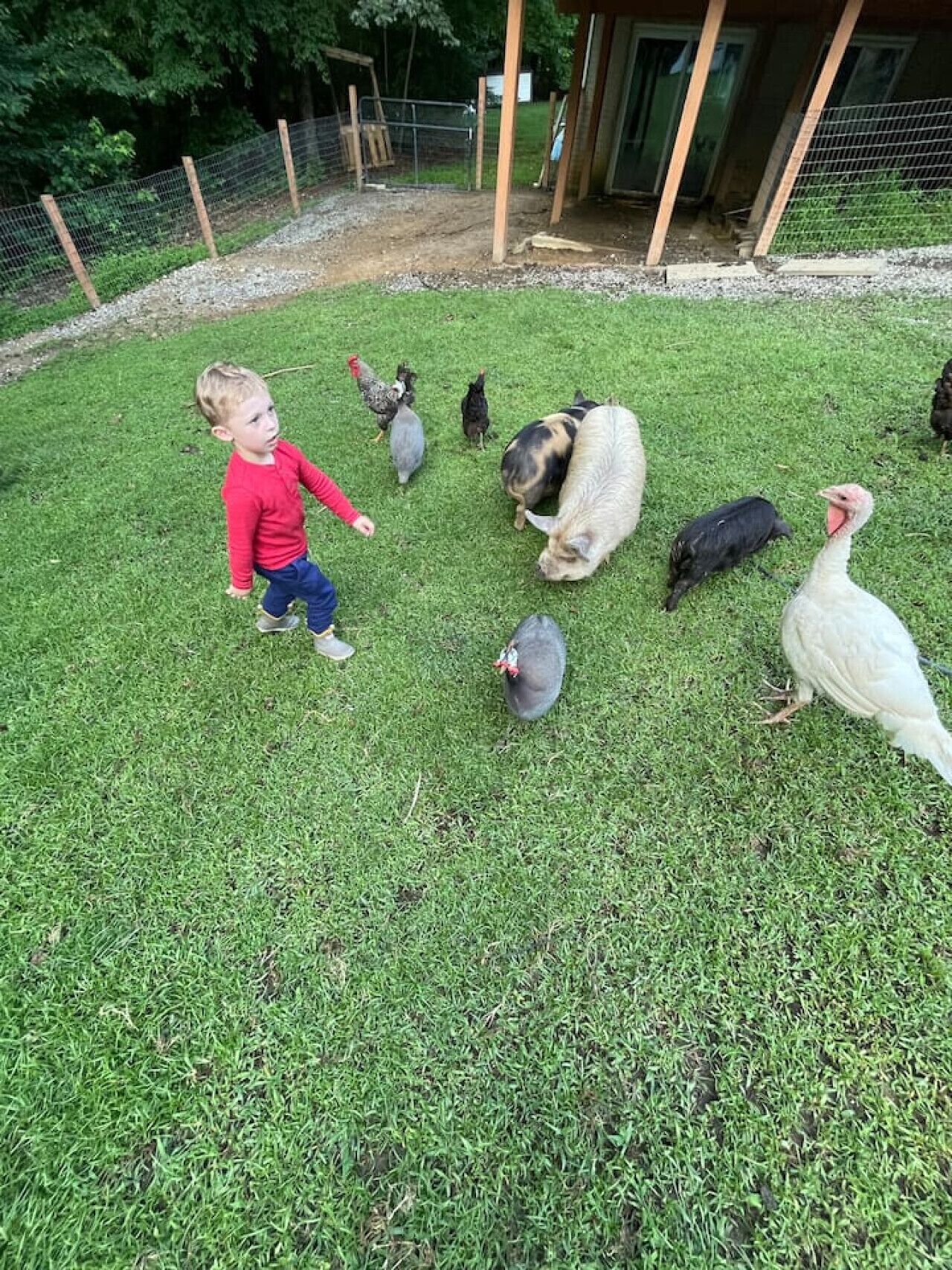 Overnattingsstedets uteområder