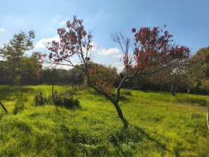 Área da propriedade