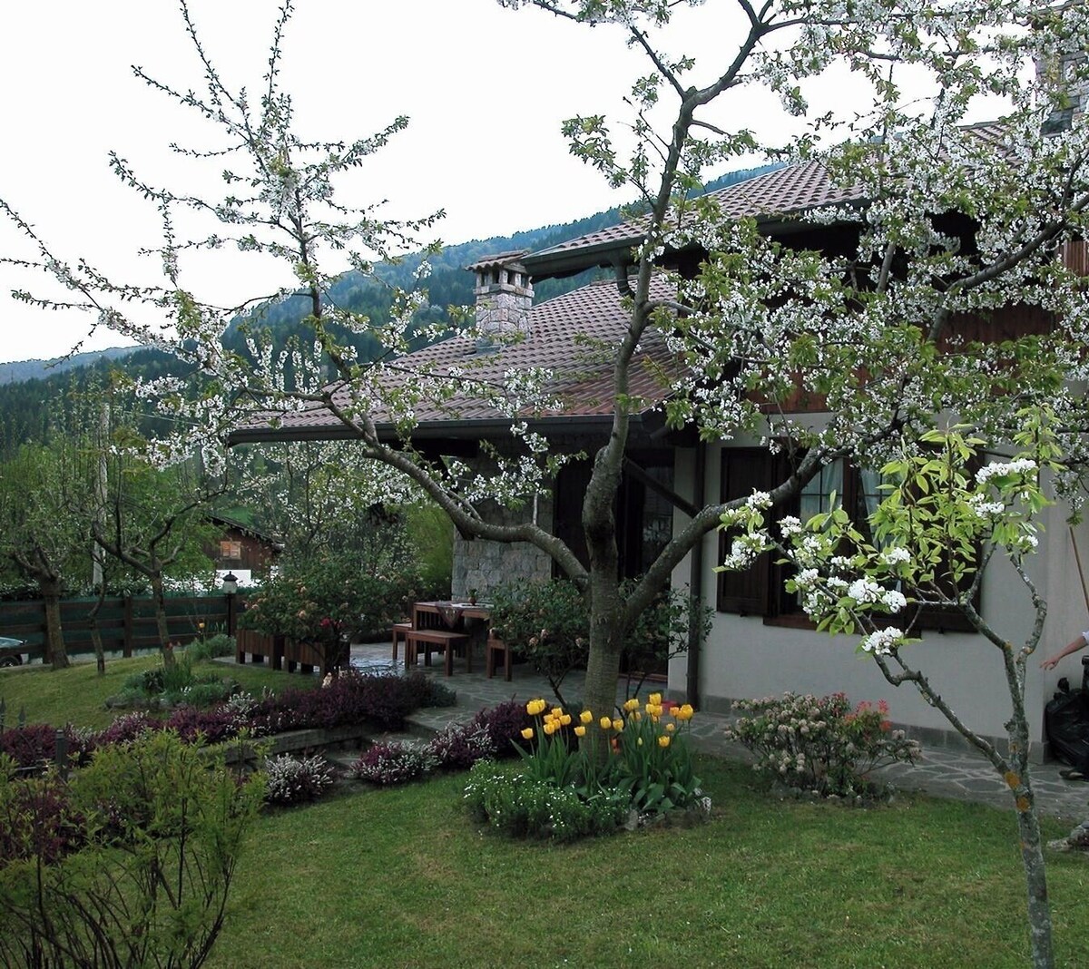 Imagen de perfil del propietario o de la propietaria