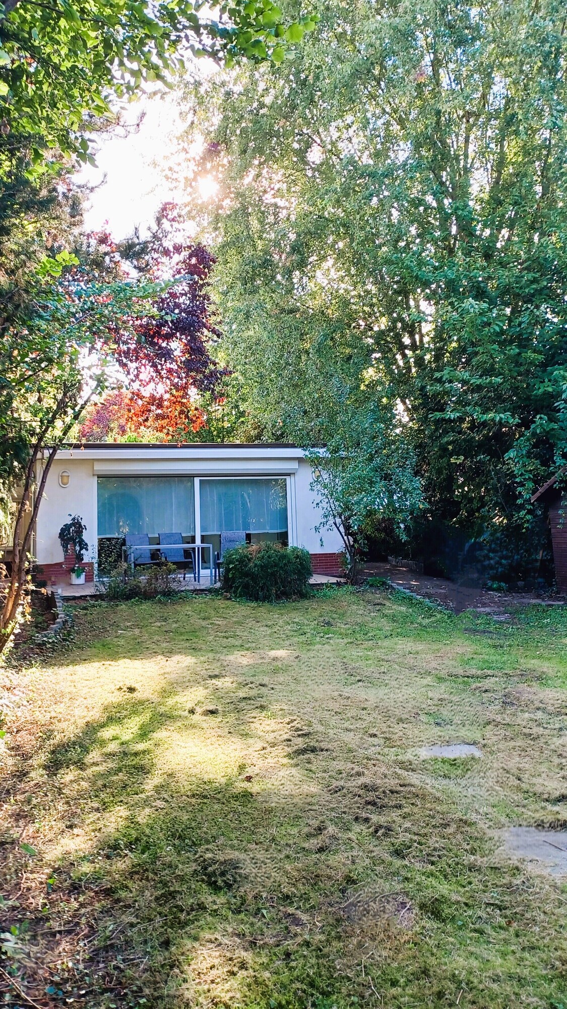 オーナーのプロフィール画像