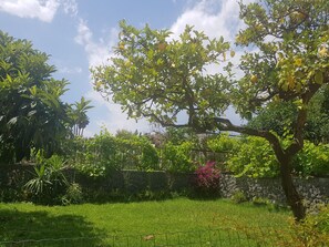 Property grounds - Villa Muse Holiday oasis by the sea of CapoMulini-Acireale Holiday Rental (Capo Mulini)