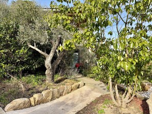 Property grounds - 5 minutes from the beach, beautiful studio in a quiet, secure residence (Grosseto-Prugna)