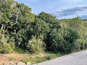 Miscellaneous - 5 minutes from the beach, beautiful studio in a quiet, secure residence (Grosseto-Prugna)