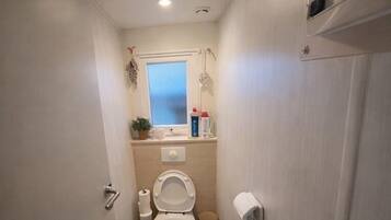 Een douche, handdoeken, zeep, toiletpapier