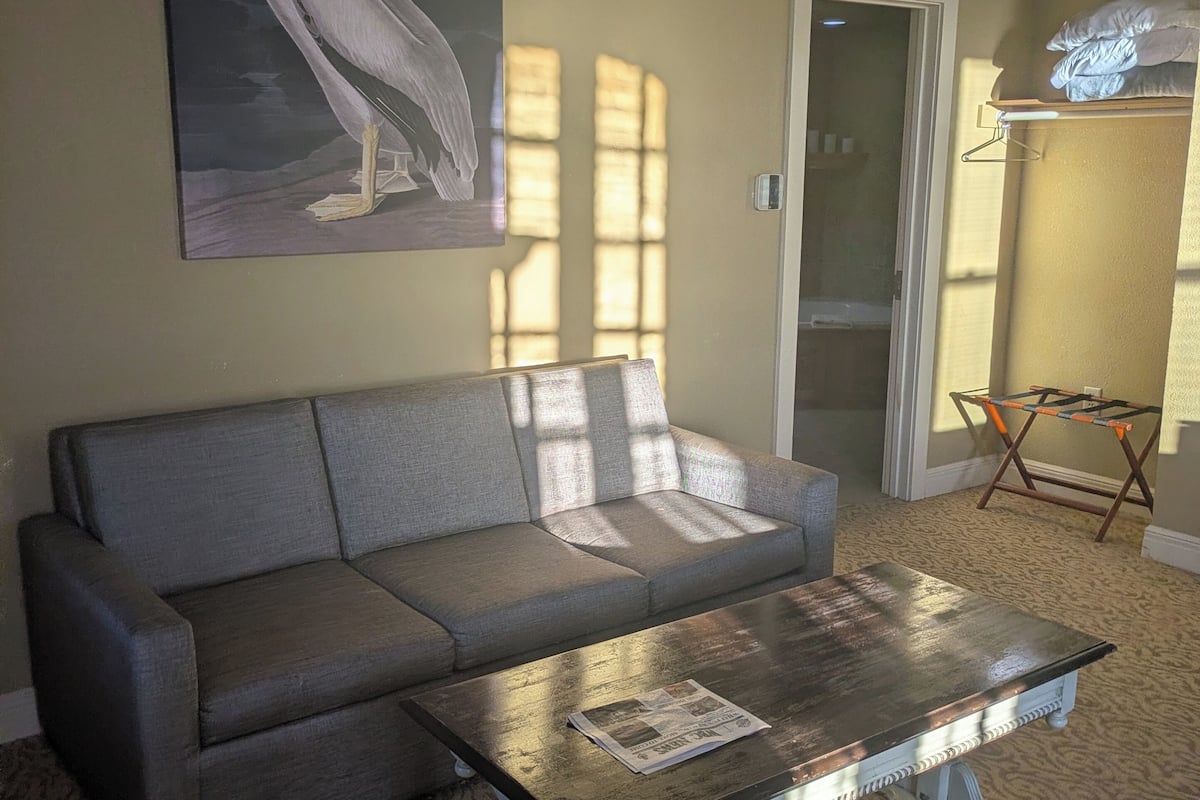 Studio Suite | Living area