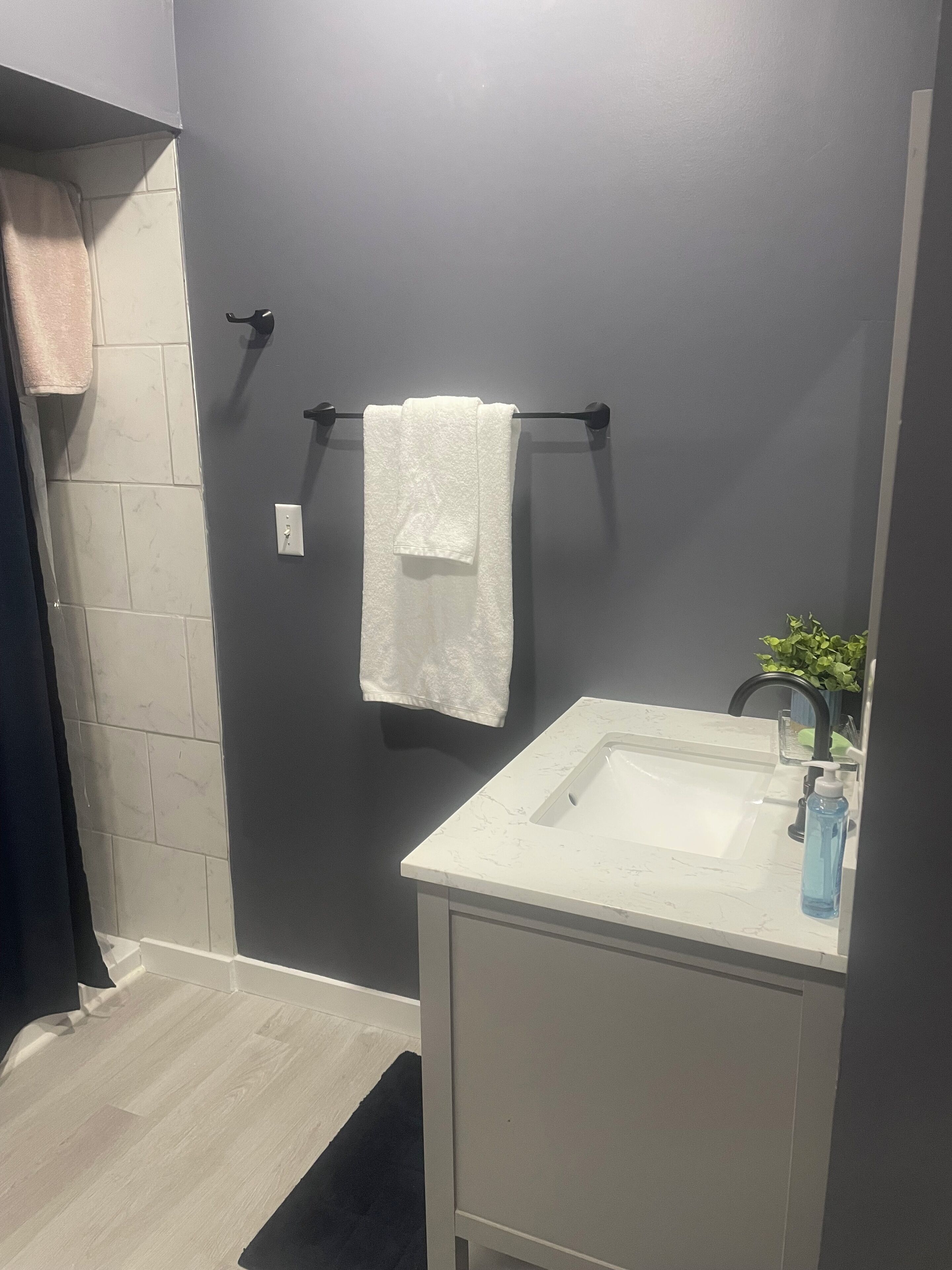 Hair dryer, towels, soap, toilet paper