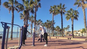 A person exercising on outdoor fitness equipment along a waterfront promenade with palm trees and a clear sky. - Casa Ellen in Los Alcazares Spanien (Los Alcázares)
