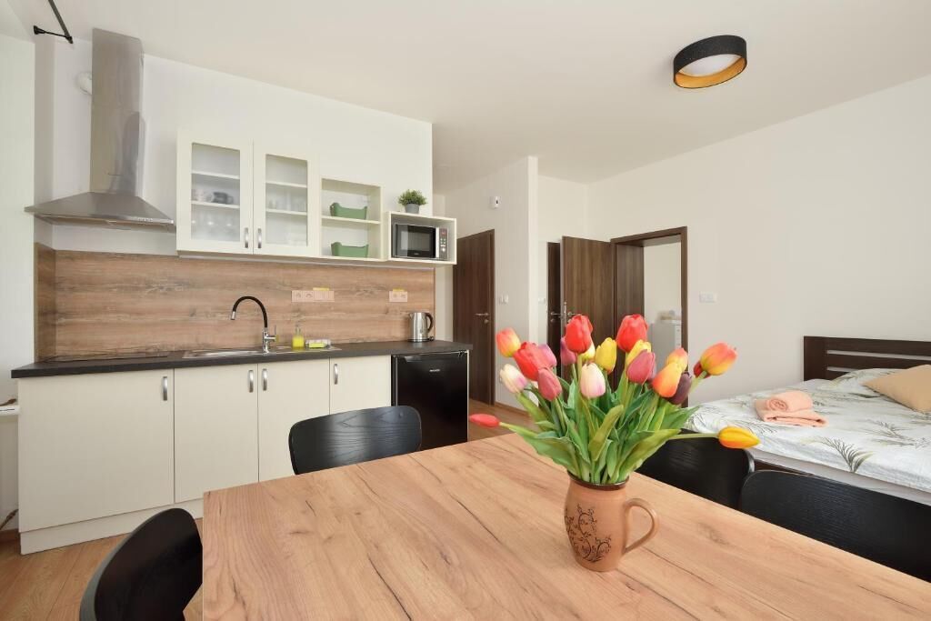 Family Suite, Park View | Private kitchen