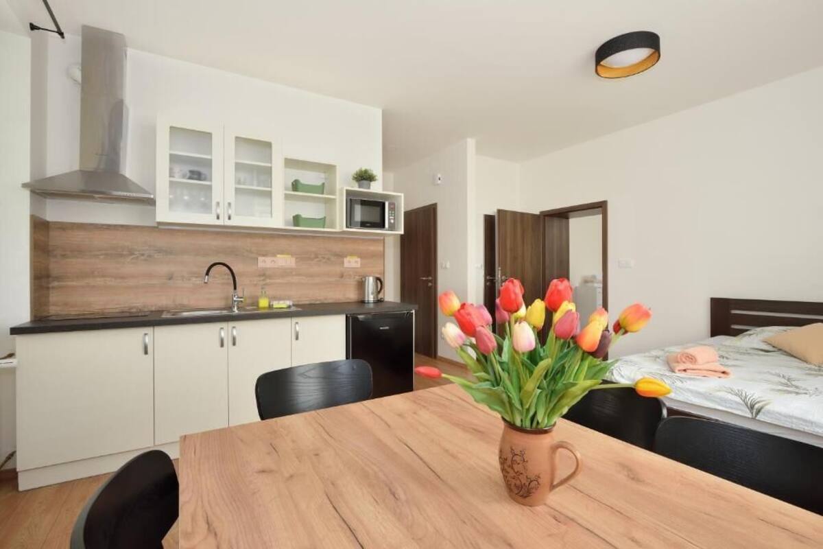 Family Suite, Park View | Private kitchen