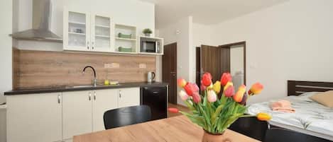 Family Suite, Park View | Private kitchen