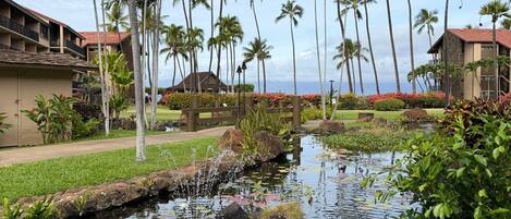 Overnattingsstedets uteområder