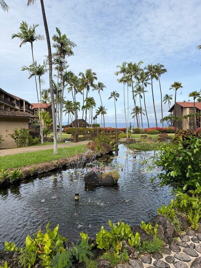 Oceanfront Resort – Kaanapali Coast with AC No Resort Fees or Parking Fees