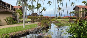 Oceanfront Resort – Kaanapali Coast with AC No Resort Fees or Parking Fees
