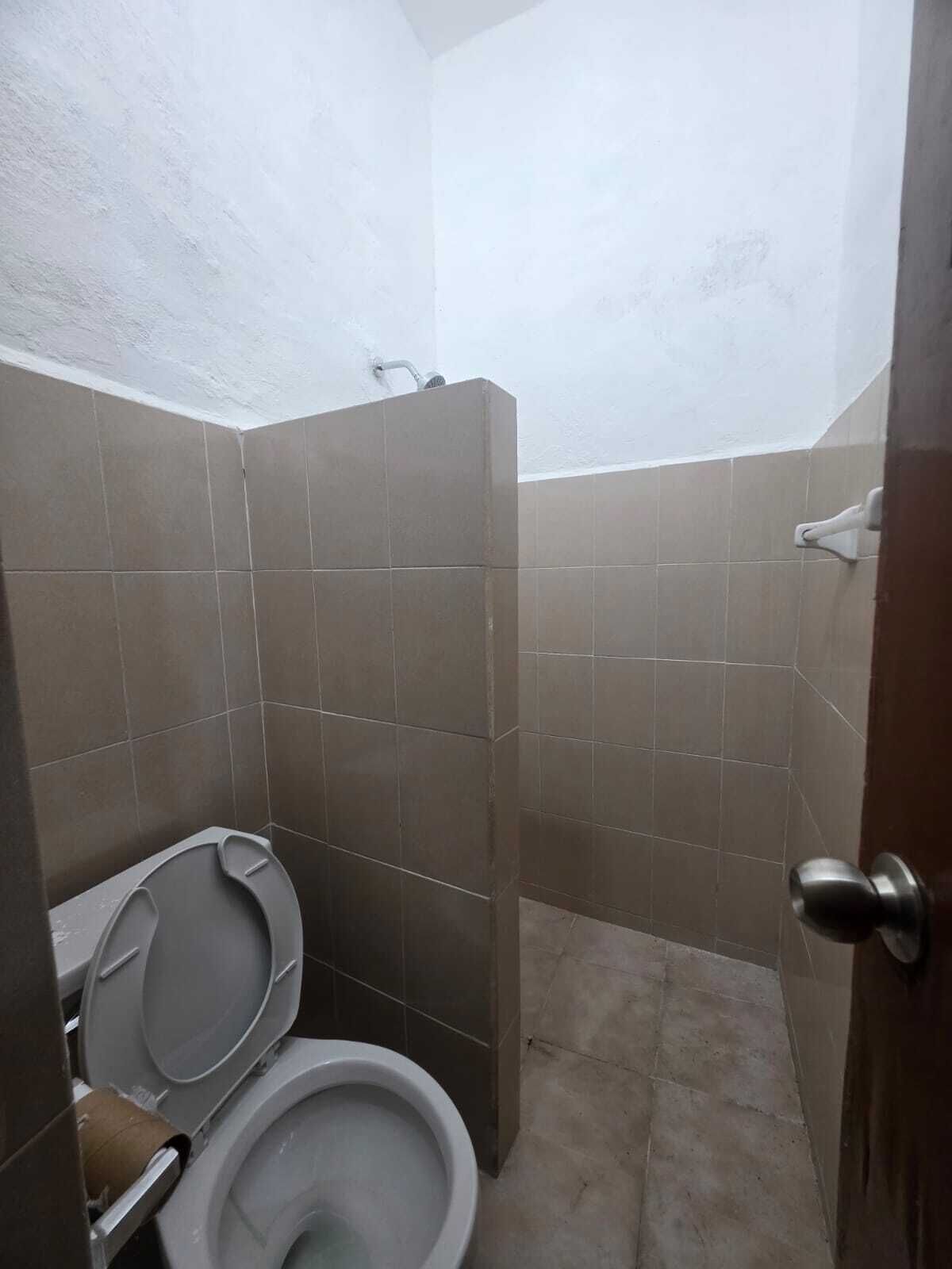 Serviettes fournies, savon, papier toilette