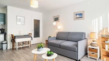 Una televisión, un reproductor de DVD, libros