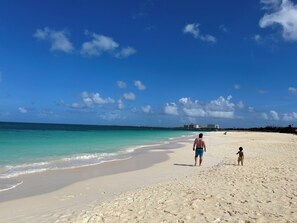 Beach - Amazing 3-Bedroom Beach House 7-min Drive to the Ocean & Palm Trees Up to 8 Ppl (Noord)