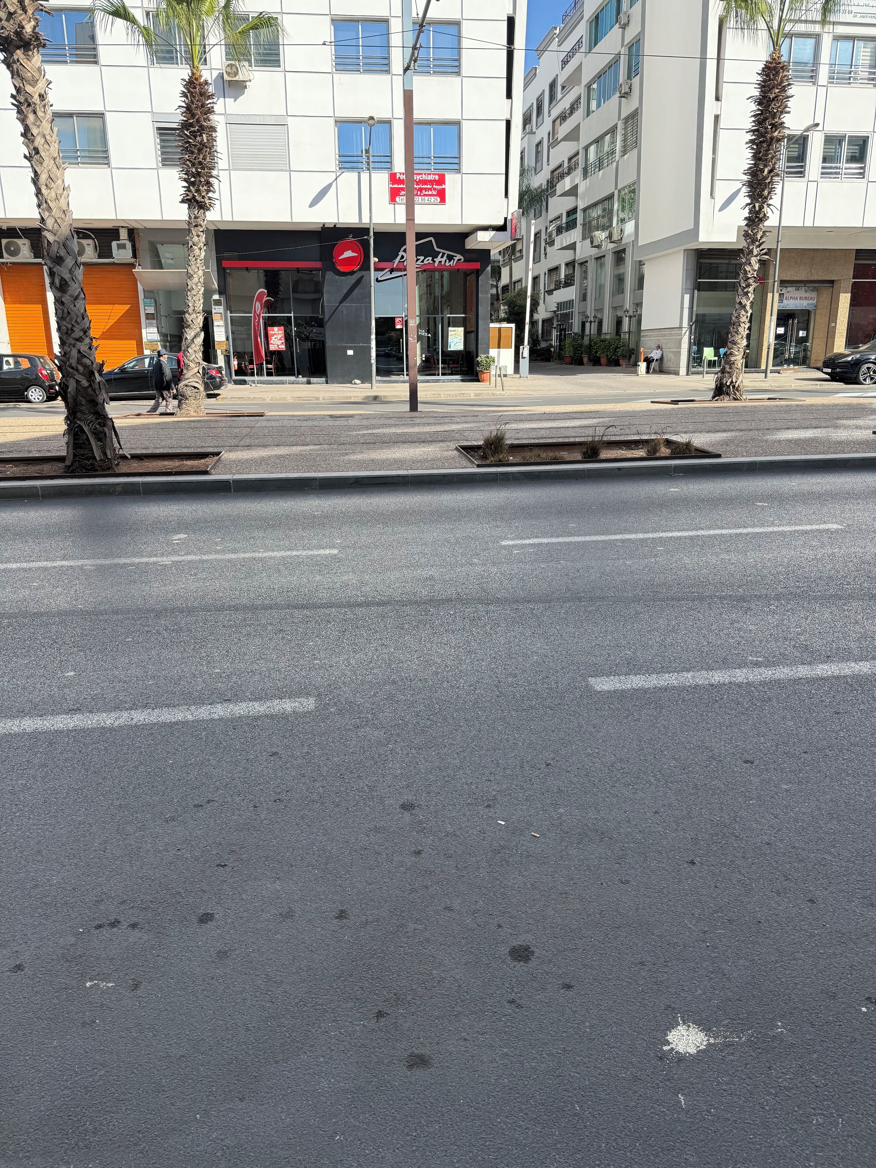 Gadesyn med en pizzabutik, en bygning med skilt for psykolog og en palme.