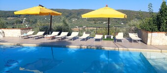 Spacious apartment in villa with swimming pool