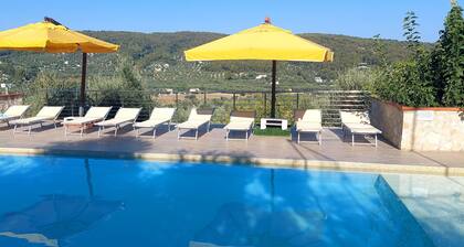 Spacious apartment in villa with swimming pool