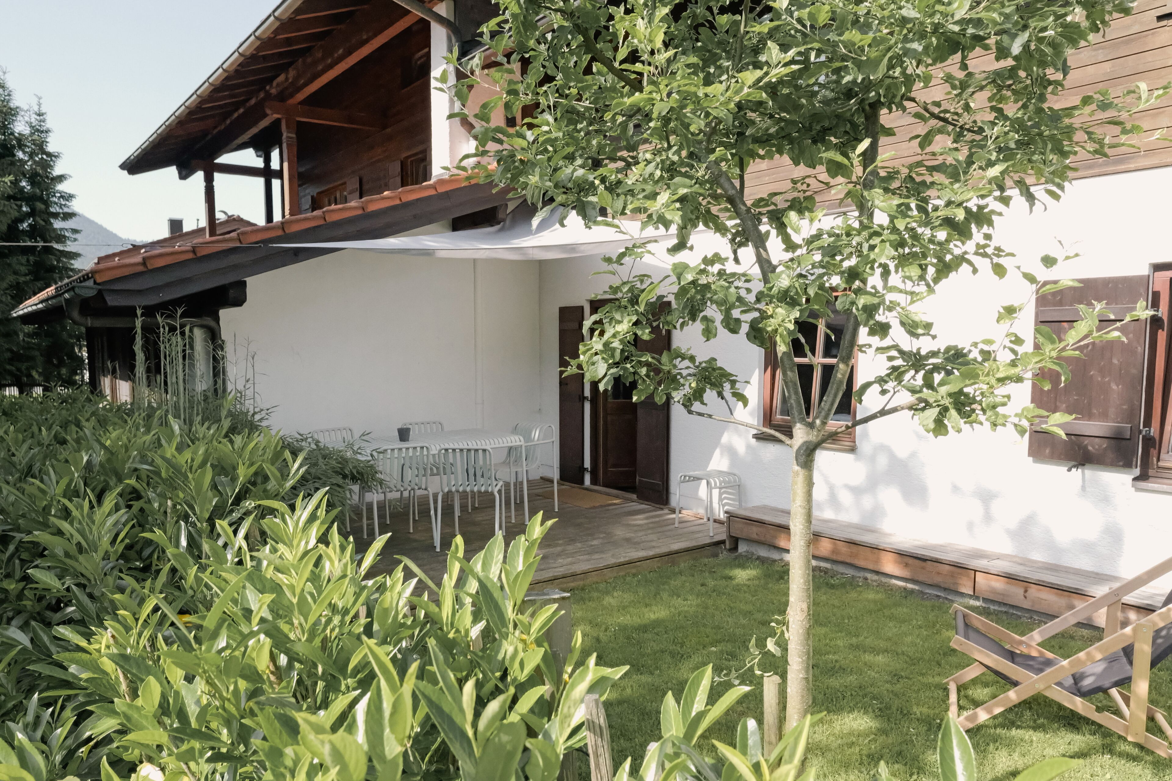 Een modern huis met een witte gevel, een houten terras en een kleine tuin met een boom en planten.