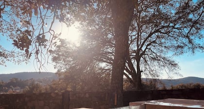 Glamping with Jacuzzi in Guanajuato (pet friendly)