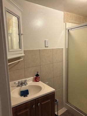 Shower, hair dryer, towels, soap - 1Bedroom Einstein, Salus University (Philadelphia)