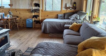 Adorable 2-bedroom cabin in quaint Saquache perfect for relaxing getaway