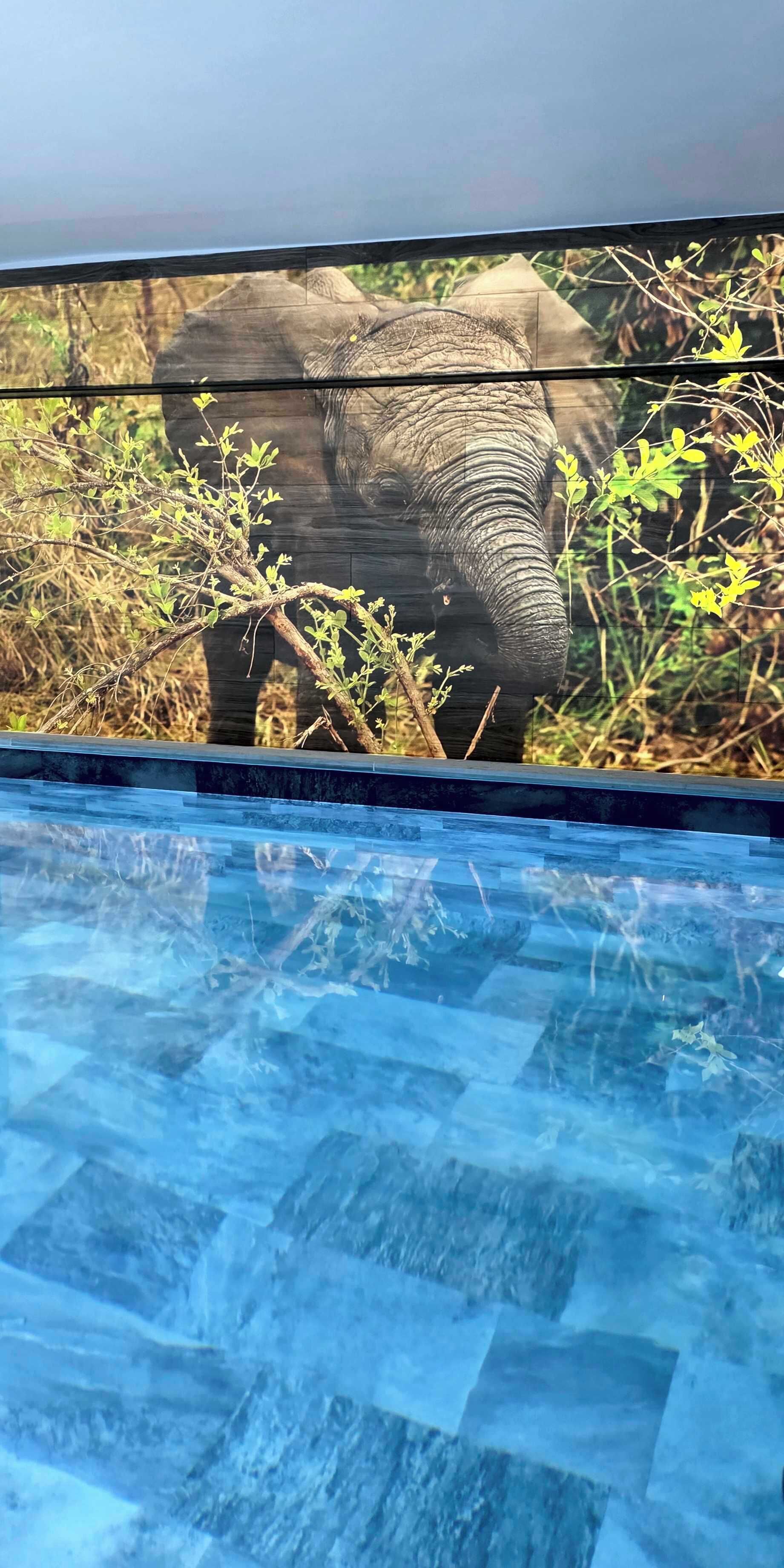 Piscina interna, piscina aquecida