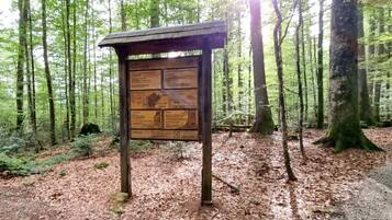 A wooden information board in a forested area with a dirt path.