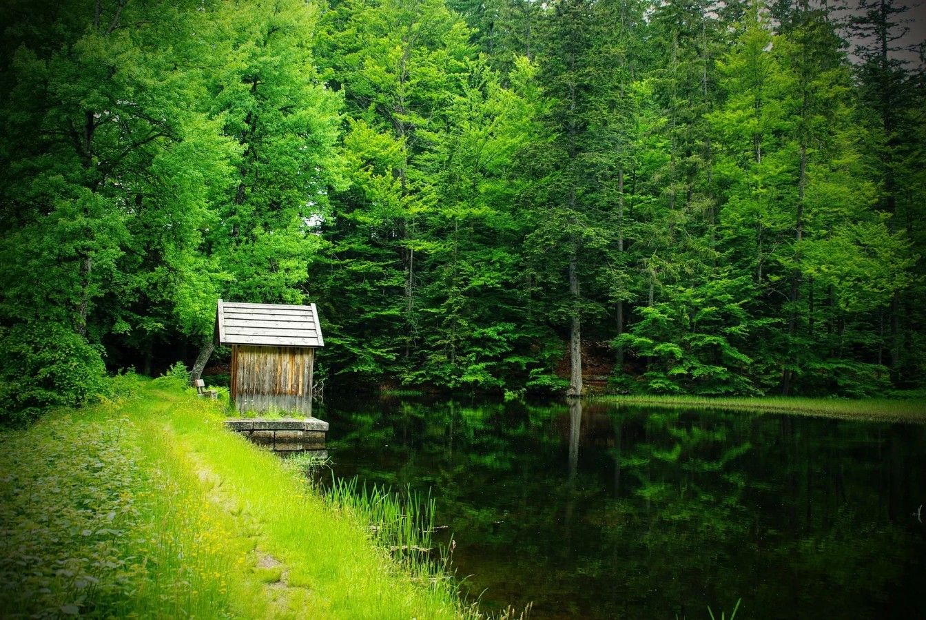 Diverse